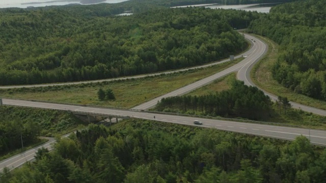 汽车在乡村道路上行驶的空中跟踪镜头。林中的树林中的树视频素材