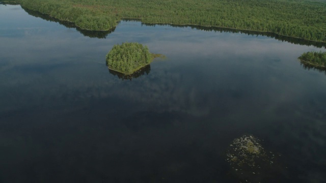 湖中岛屿的鸟瞰图。森林中的树林中的树视频素材