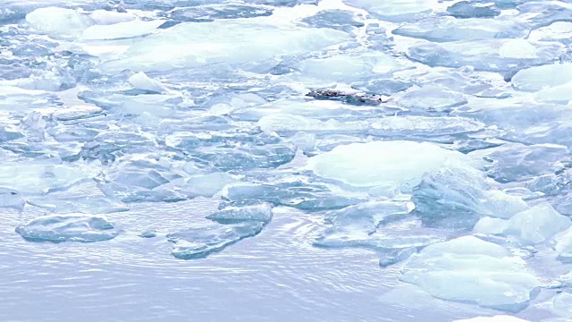 冰山漂浮在冰岛Vatnajokull冰川的Jokulsarlon泻湖视频素材