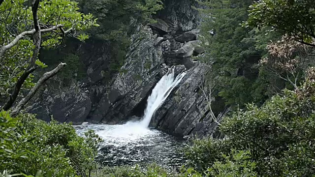 日本鹿儿岛屋久岛五木瀑布视频素材