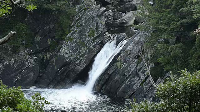 日本鹿儿岛屋久岛五木瀑布视频素材