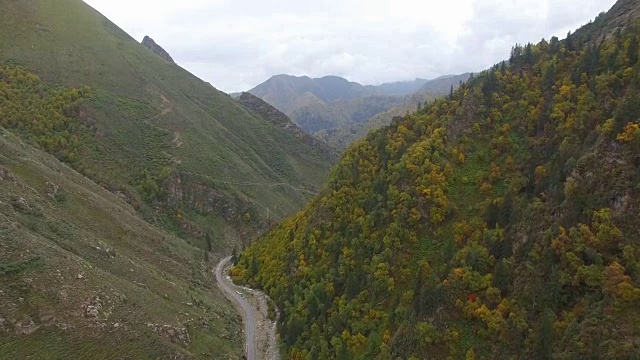 鸟瞰图农村公路之间的秋天植被在山区，甘肃，中国。视频素材