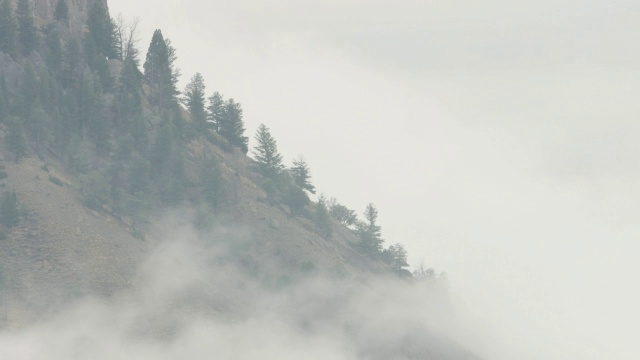 在美国怀俄明州的黄石国家公园，有雾的山的风景视频素材