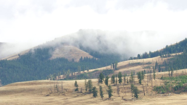 在美国怀俄明州的黄石国家公园，有雾的山的风景视频素材