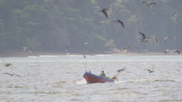 渔民在船上和海鸟，太平洋视频素材