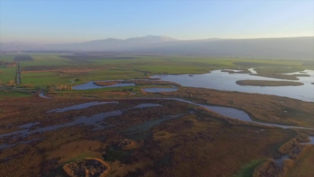 呼拉圈山谷，一辆拖拉机在给一大群欧亚鹤(Grus Grus)喂玉米视频素材