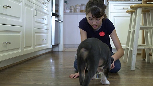 女孩在厨房里用狗食喂小狗视频素材