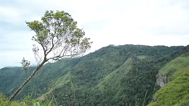 泰国富塔卜高原上的薄雾视频素材