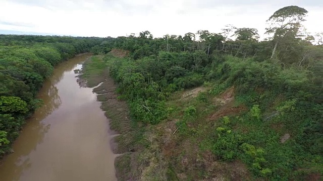 反向立交桥亚马逊河和雨林视频素材