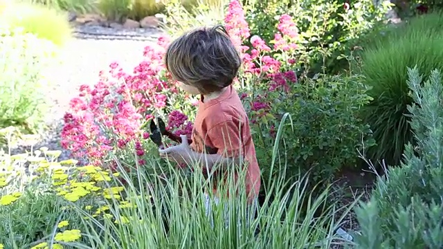 小男孩在花园里捧着花视频素材