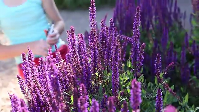 女孩在她的花园里采摘和插花视频素材