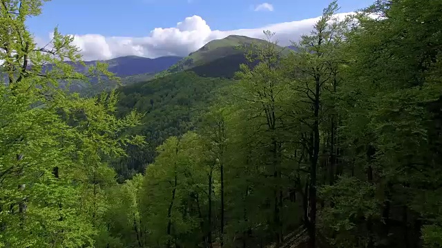 山鸟瞰图视频素材