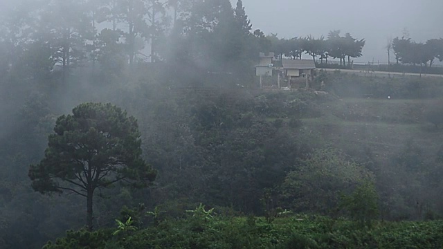 光谱雾流动从右到左左右，并通过一系列山的针叶林混交林视频下载