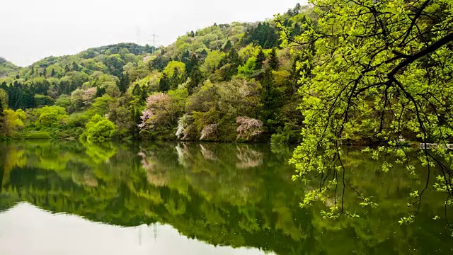 色羊栖湖(韩国著名的湖)视频素材