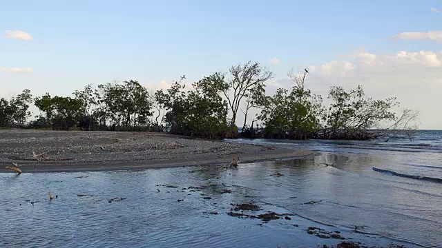 古巴群岛之美:小钥匙与红红树林。海浪在下午轻轻拍打，金枪鱼的扎萨，圣灵视频素材