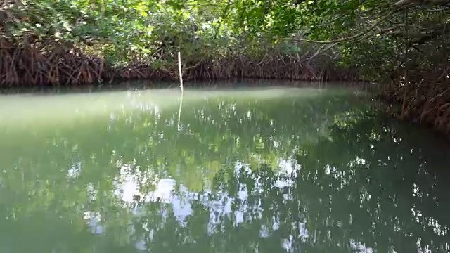 古巴未知地方的生态旅游:一艘渔船驶往扎扎河河口，图纳斯·德·扎扎，古巴圣斯提·斯图斯，运河水中红色红树林的倒影和太阳的闪光视频素材