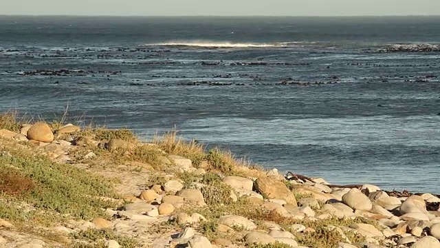 南非开普敦，LS波浪在岩石海岸线后破碎视频素材