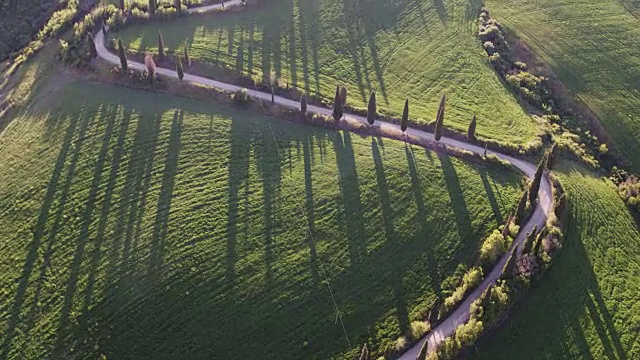 无人机拍摄的意大利托斯卡纳山上蜿蜒的道路视频素材