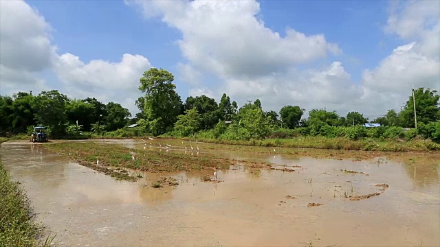 用犁翻地视频下载