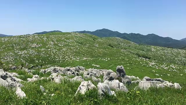 蓝天下的田野风景视频素材