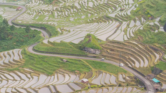 Maruyama Senmaida在三重，日本视频素材