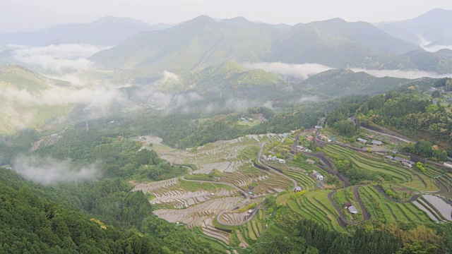 Maruyama Senmaida在三重，日本视频素材