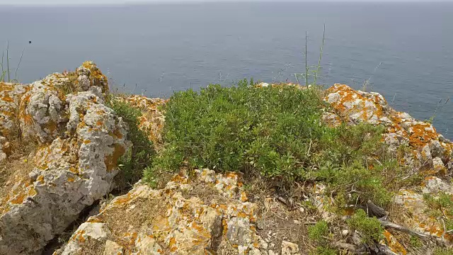 葡萄牙海岸视频下载