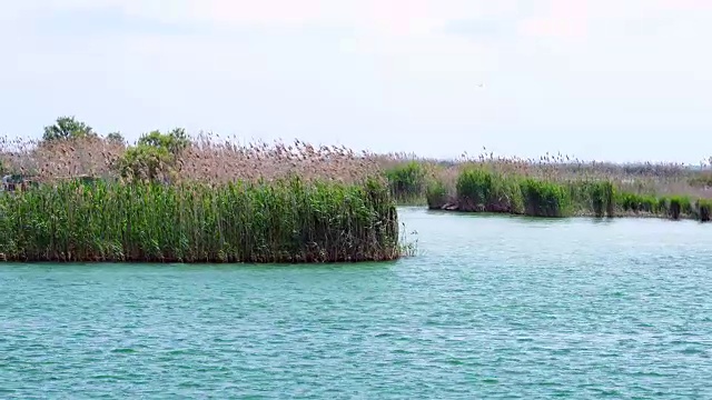 埃布罗三角洲，Terres de L'Ebre，塔拉戈纳，加泰罗尼亚，西班牙，欧洲视频素材