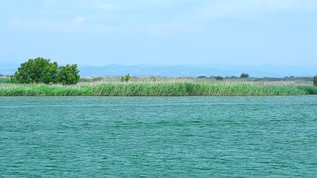 埃布罗三角洲，Terres de L'Ebre，塔拉戈纳，加泰罗尼亚，西班牙，欧洲视频素材