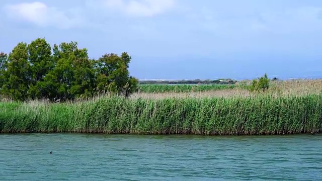 埃布罗三角洲，Terres de L'Ebre，塔拉戈纳，加泰罗尼亚，西班牙，欧洲视频素材