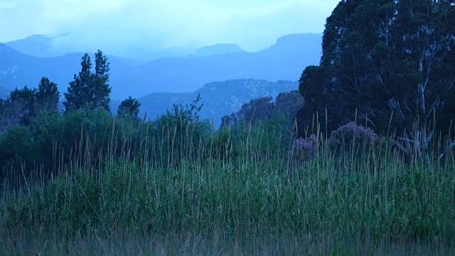 Ullals de Baltasar, Ebro Delta, Terres de ebre, Tarragona, Catalonia，西班牙，欧洲视频素材