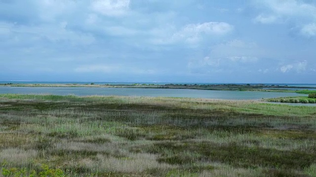 风景在埃布罗三角洲，Terres de L'Ebre，塔拉戈纳，加泰罗尼亚，西班牙，欧洲视频素材