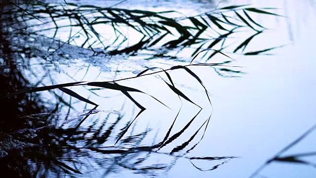 Ullals de Baltasar, Ebro Delta, Terres de ebre, Tarragona, Catalonia，西班牙，欧洲视频素材