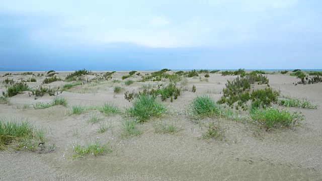 沙丘在埃布罗三角洲，Terres de L'Ebre，塔拉戈纳，加泰罗尼亚，西班牙，欧洲视频素材