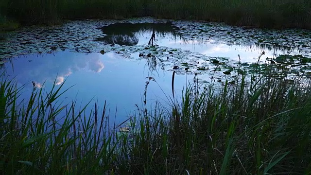 Ullals de Baltasar, Ebro Delta, Terres de ebre, Tarragona, Catalonia，西班牙，欧洲视频素材