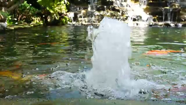 观赏性花园池塘放松禅宗外观背阴视频素材