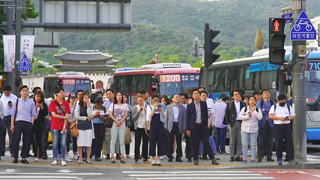 韩国首尔，一群人在光华门广场的红绿灯上行走视频下载