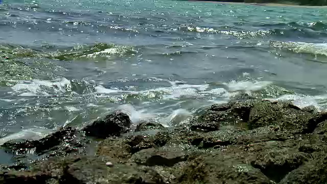 海洋海滩视频下载