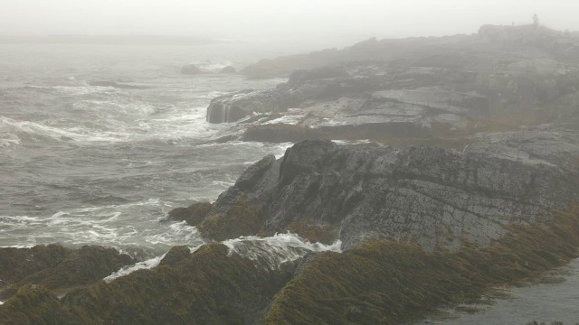 中等角度的岩岸或滨水的海洋或湖泊。波磅岩石。可能是风暴。人可见遛狗。海藻。视频素材