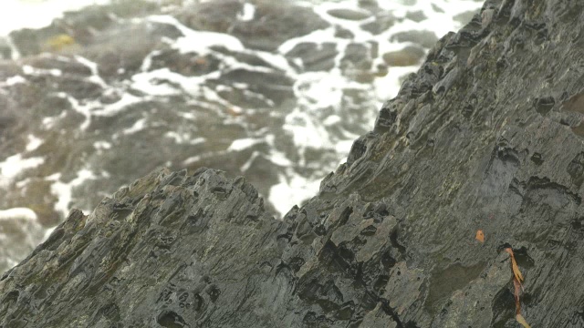 近角度的岩石在潮汐池或附近。水可见。可能是岩石海岸或海滨。视频素材