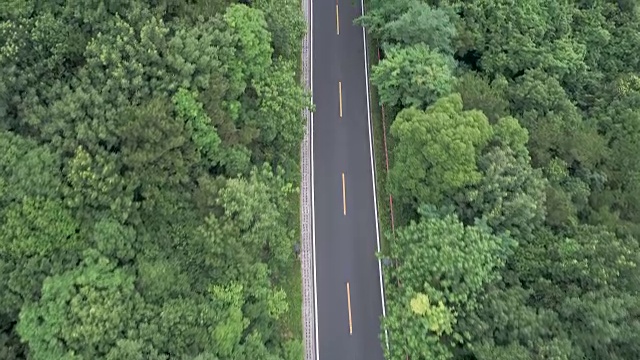 宝街山森林公园山路鸟瞰图视频素材