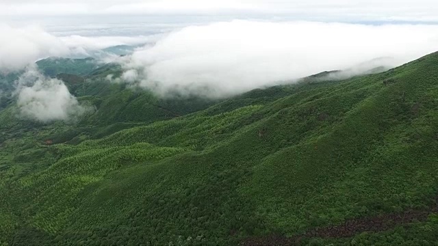 鸟瞰图山上森林覆盖着云视频素材