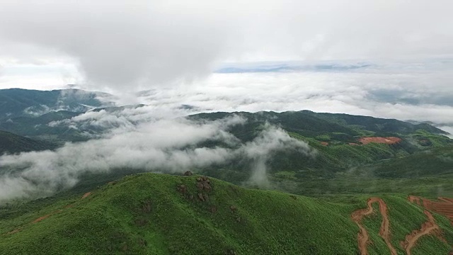 鸟瞰图山上森林覆盖着云视频素材