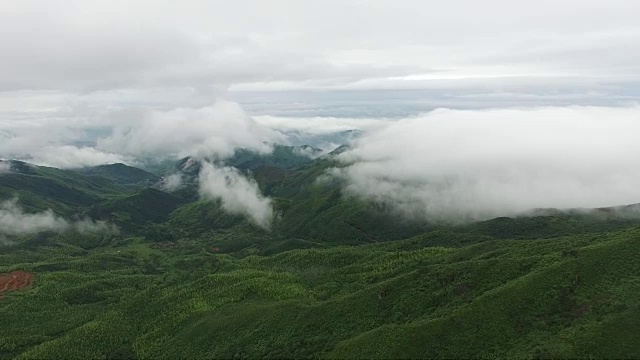 鸟瞰图山上森林覆盖着云视频素材