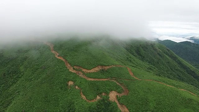 鸟瞰图山上森林覆盖着云视频素材