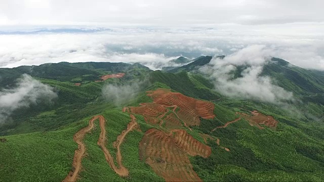 鸟瞰图山上森林覆盖着云视频素材