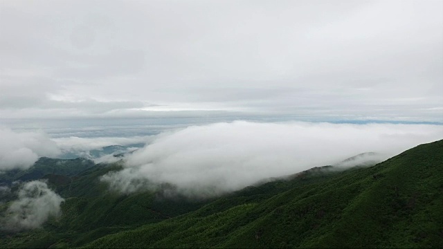 鸟瞰图山上森林覆盖着云视频素材