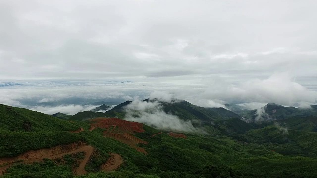 鸟瞰图山上森林覆盖着云视频素材