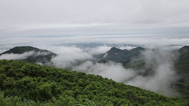 鸟瞰图山上森林覆盖着云视频素材