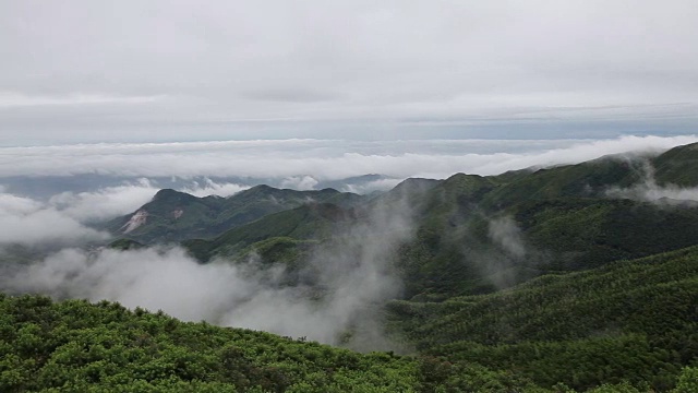 鸟瞰图山上森林覆盖着云视频素材